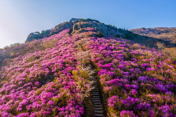 메인사진