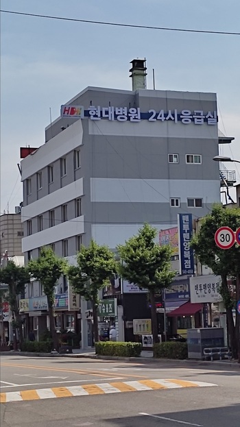 메인사진