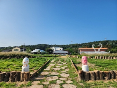 메인사진