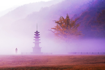 메인사진