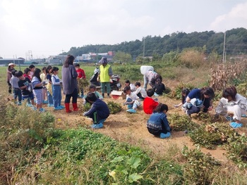 메인사진