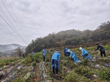 메인사진