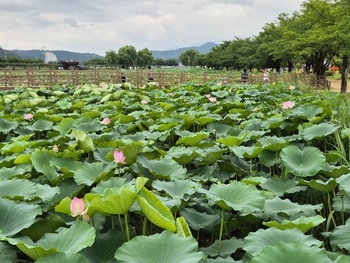 메인사진