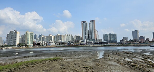 © 배곧 해송십리로 에서 바라본 월곶포구 풍경